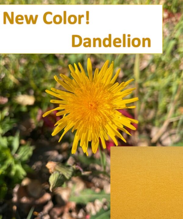 new color dandelion