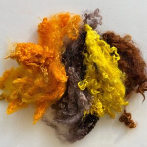 Sunflower colors dyed locks July 2023