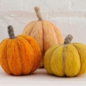 Pumpkins Needle Felting Kit